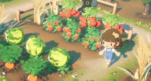 puffpals island skies(泡芙天空岛)最新版煎饼店免广告下载-puffpals island skies(泡芙天空岛)下载v.5.49