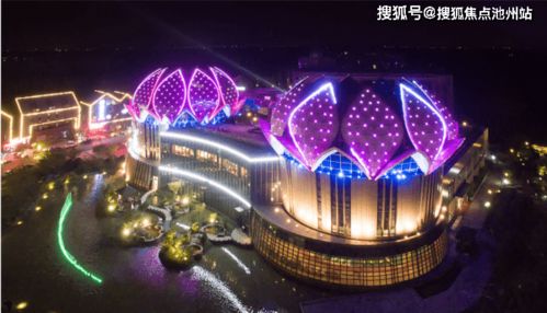 滑雪者行动最新官方版下载-滑雪者行动无敌版v.8.86