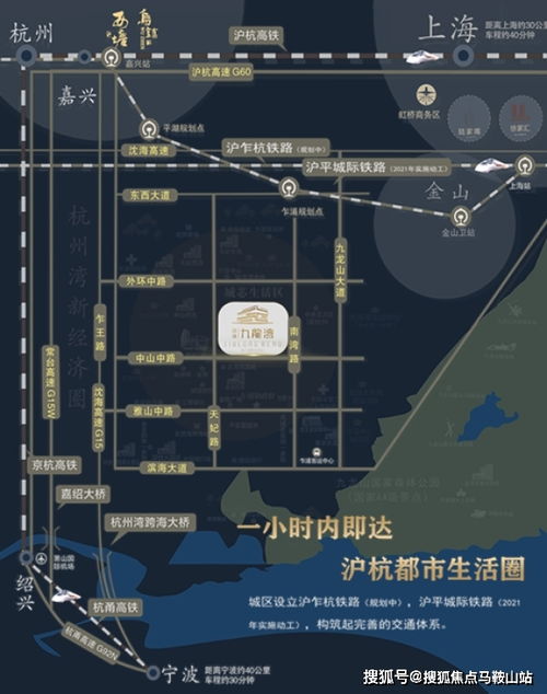 我角斗士安卓版2024免广告最新版下载2024-我角斗士安卓版汉化下载手机版v.7.79